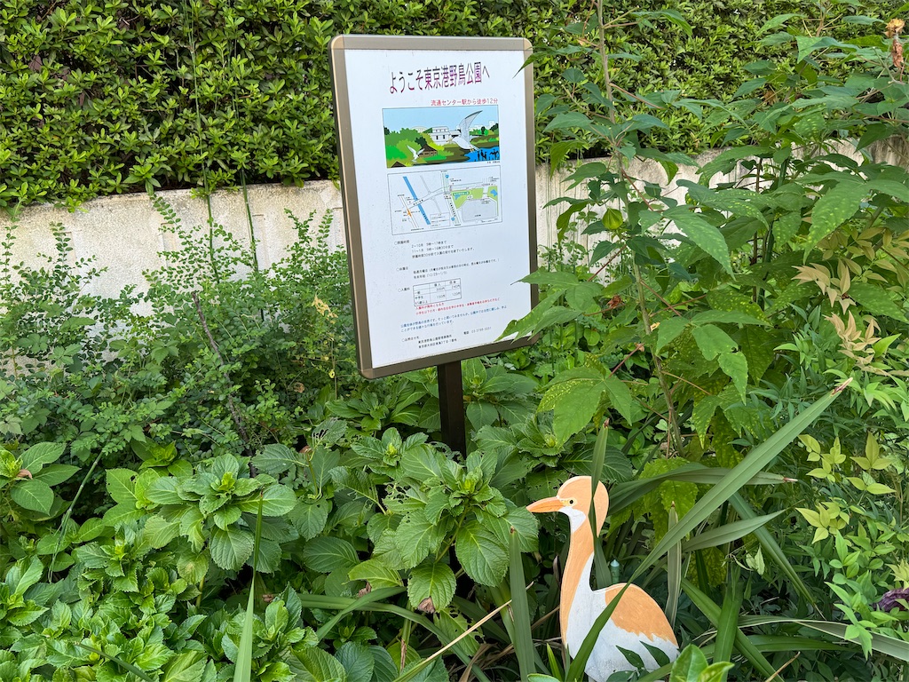 f:id:chidorimemo:20240910051511j:image