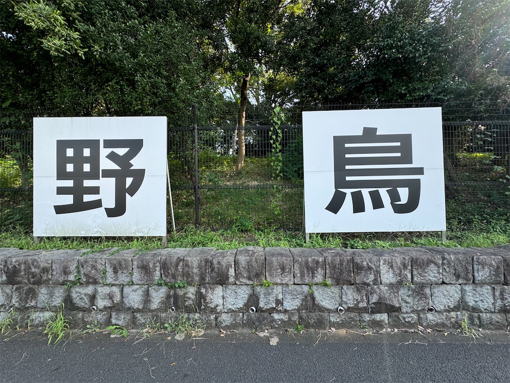 f:id:chidorimemo:20240910051515j:image