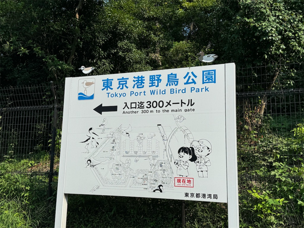 f:id:chidorimemo:20240910051522j:image