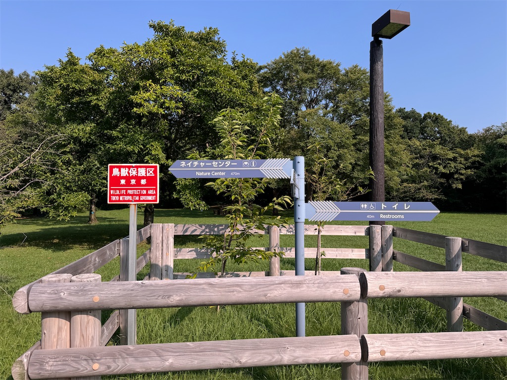 f:id:chidorimemo:20240910051953j:image