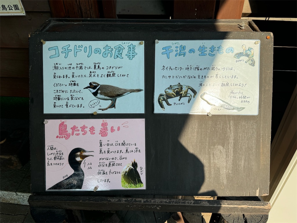 f:id:chidorimemo:20240910051957j:image