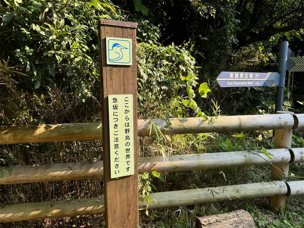 f:id:chidorimemo:20240910052002j:image