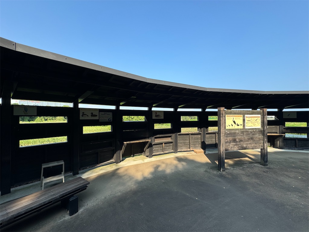 f:id:chidorimemo:20240910053022j:image