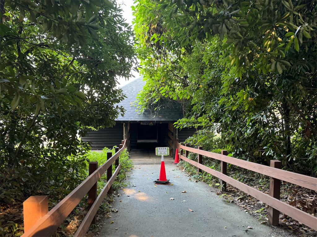 f:id:chidorimemo:20240910053302j:image