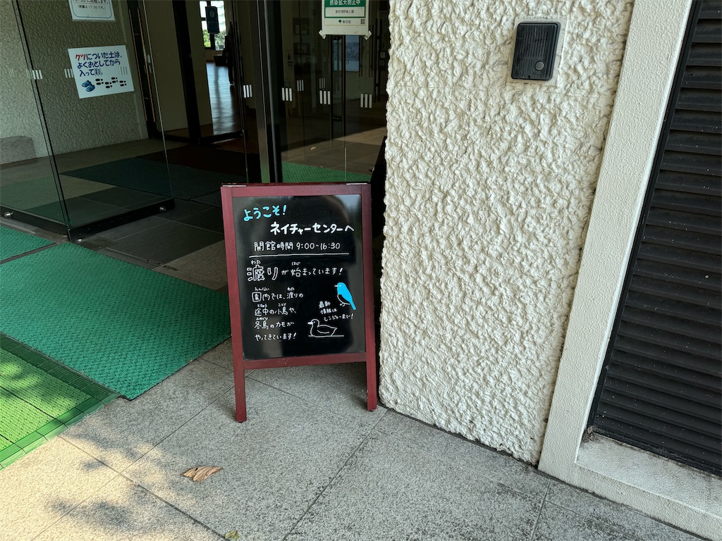 f:id:chidorimemo:20240910053817j:image