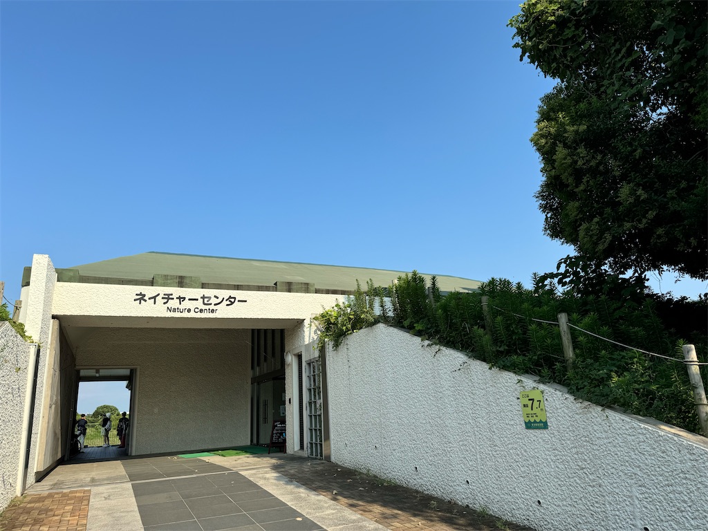 f:id:chidorimemo:20240910053821j:image