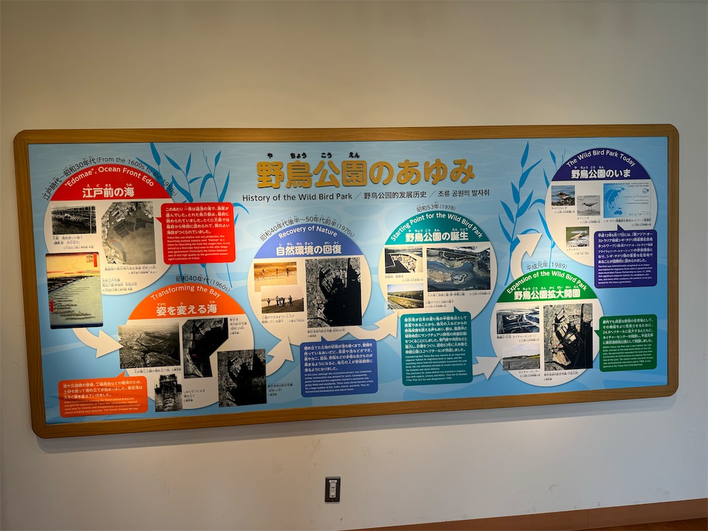 f:id:chidorimemo:20240910053829j:image