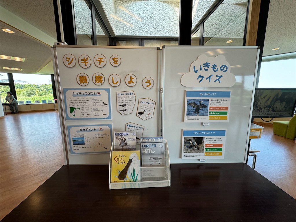 f:id:chidorimemo:20240910053833j:image