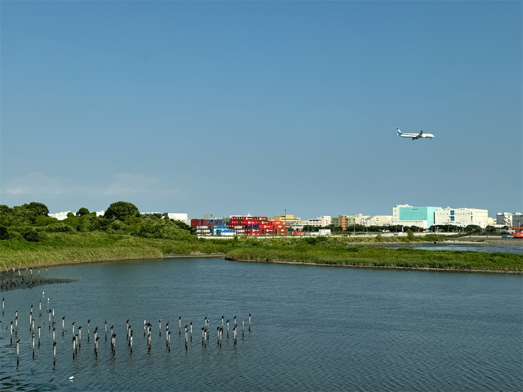 f:id:chidorimemo:20240910053836j:image