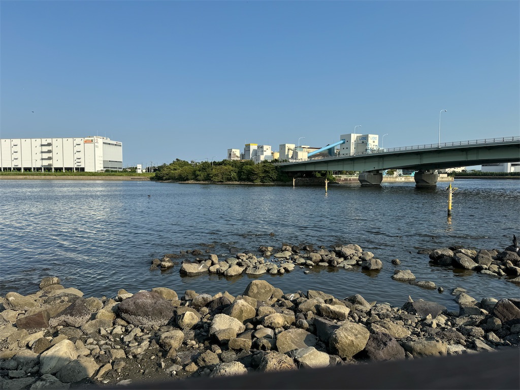 f:id:chidorimemo:20240910054334j:image