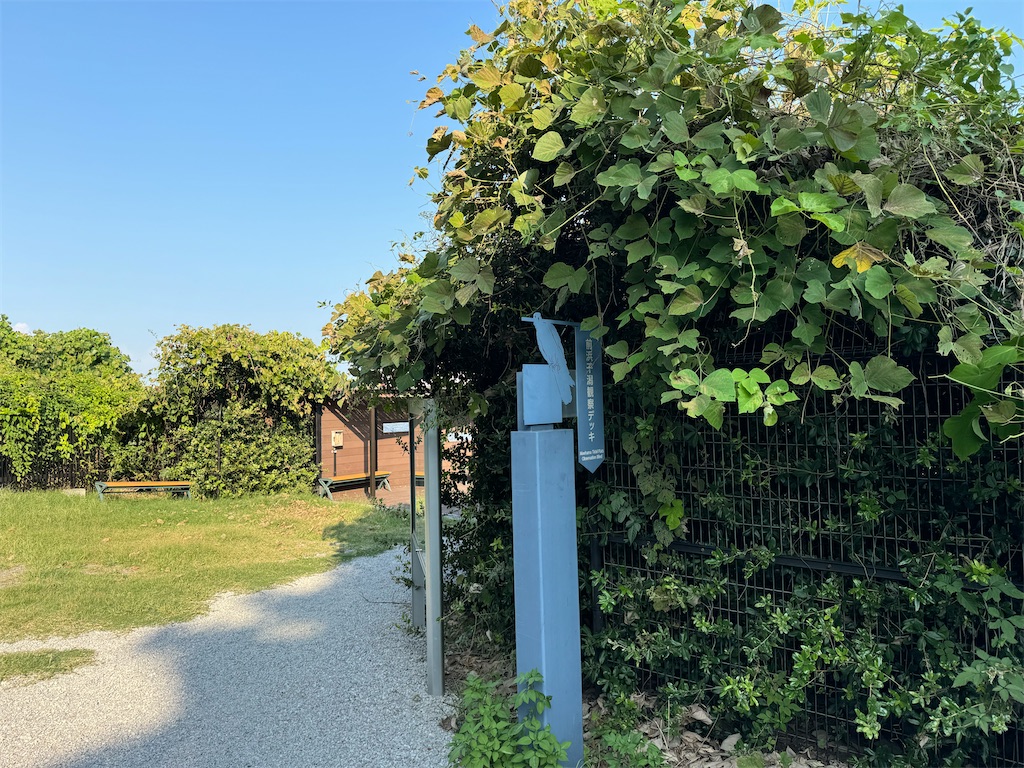 f:id:chidorimemo:20240910054338j:image