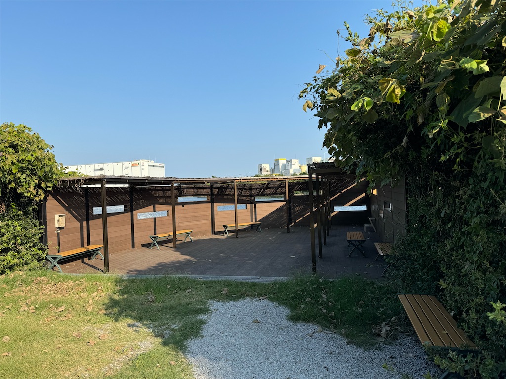 f:id:chidorimemo:20240910054342j:image