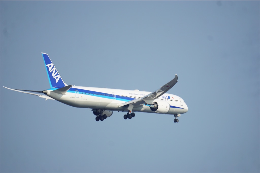 f:id:chidorimemo:20240910055742j:image