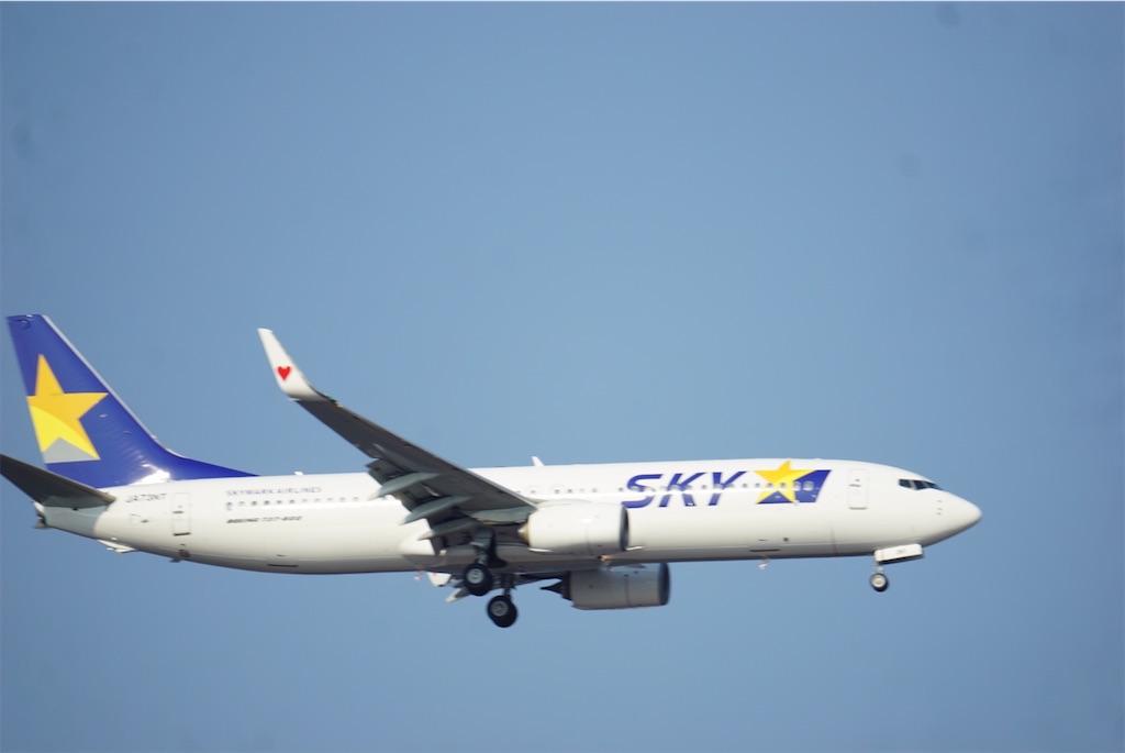 f:id:chidorimemo:20240910055746j:image