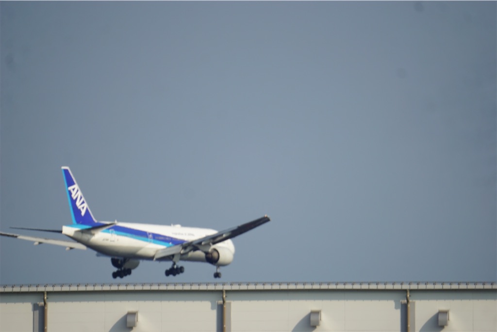 f:id:chidorimemo:20240910055749j:image