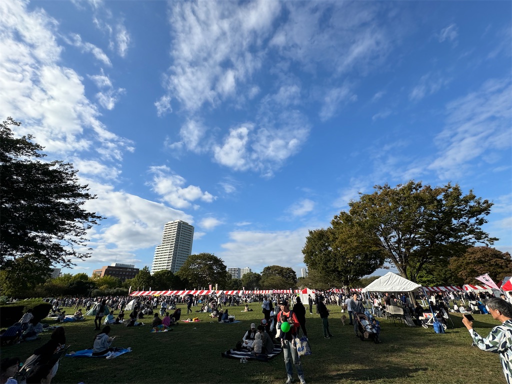 f:id:chidorimemo:20241106024121j:image