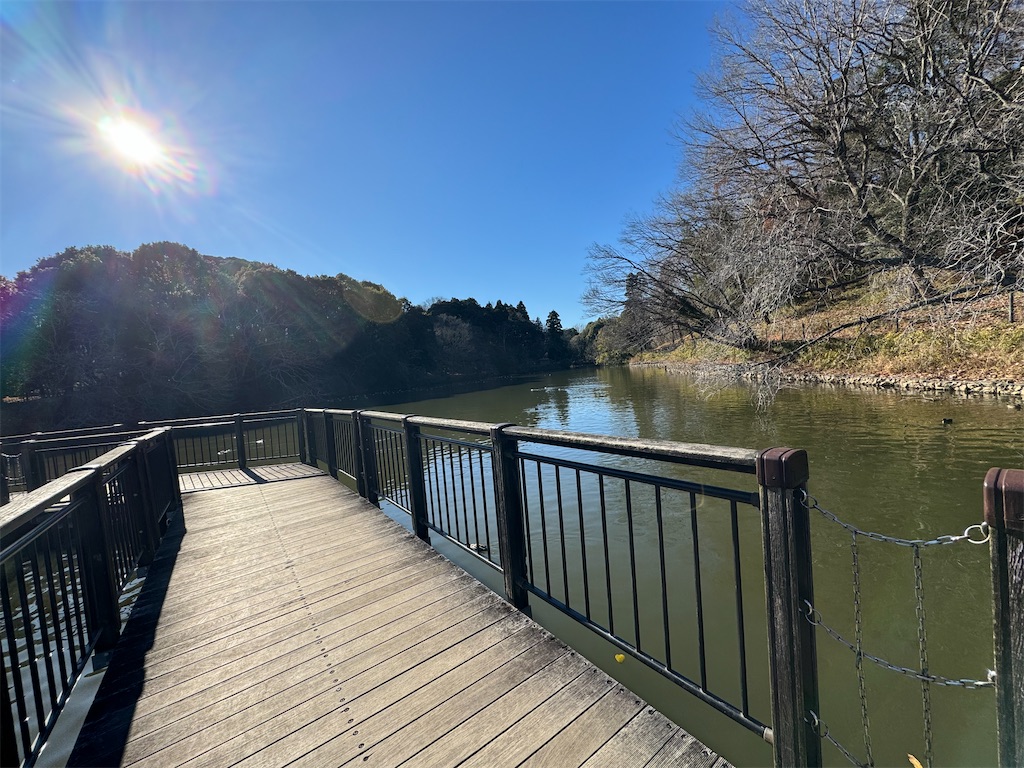 f:id:chidorimemo:20250206045351j:image