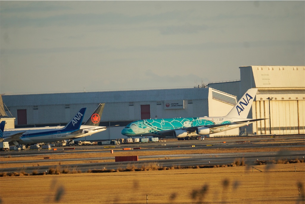 f:id:chidorimemo:20250206050019j:image