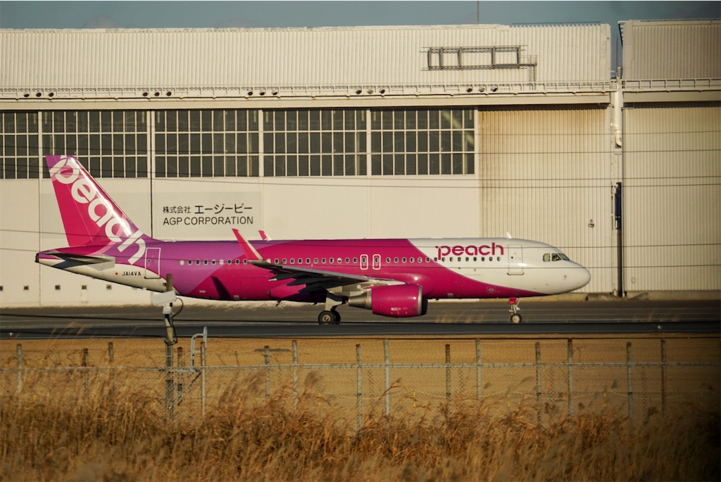 f:id:chidorimemo:20250206050022j:image