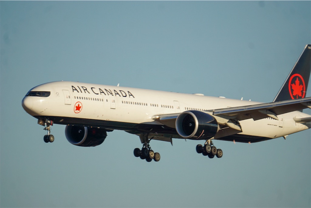 f:id:chidorimemo:20250206050025j:image