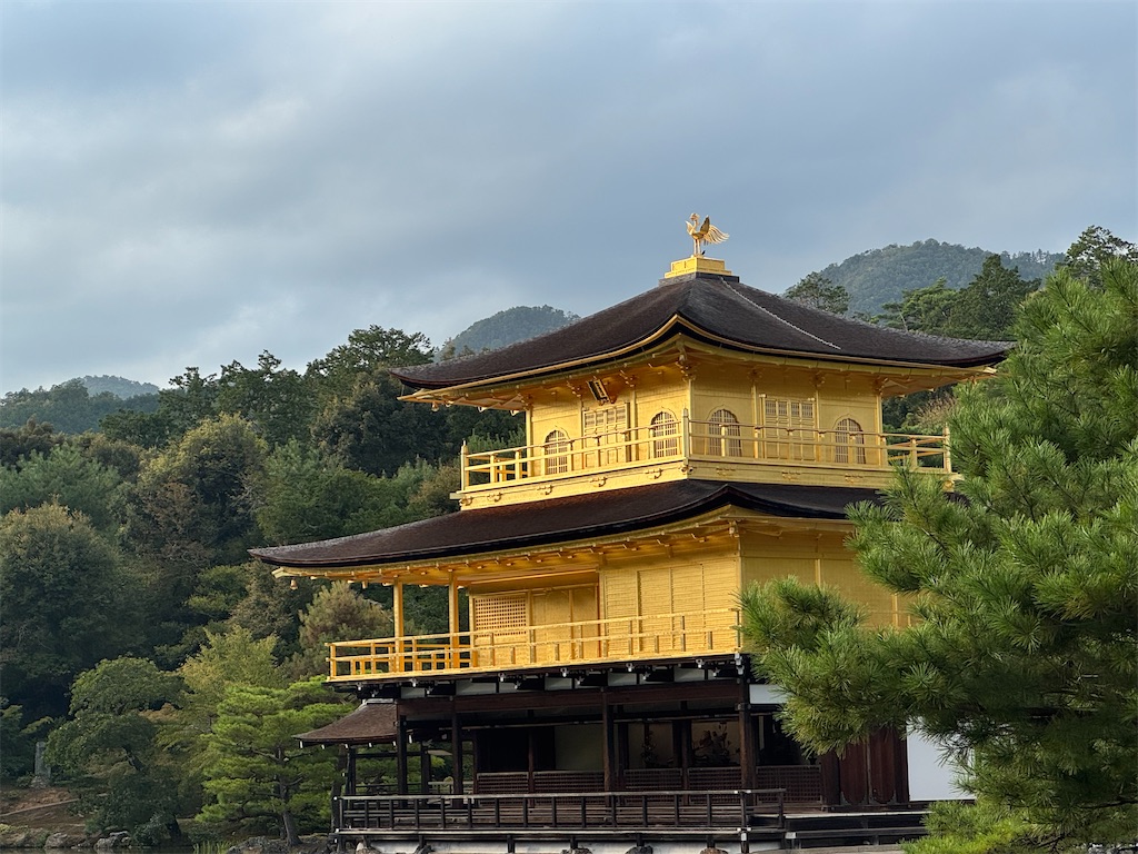 f:id:chidorimemo:20251010173550j:image