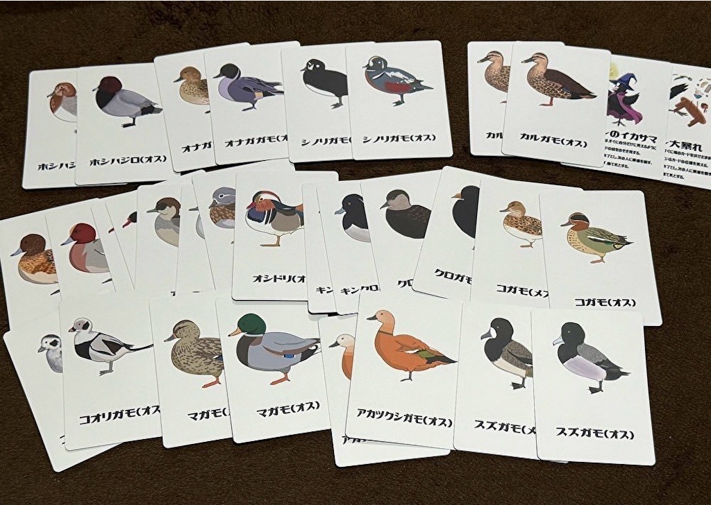 f:id:chidorimemo:20260103081938j:image