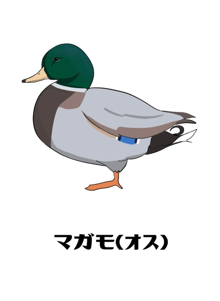 f:id:chidorimemo:20260103082209p:image