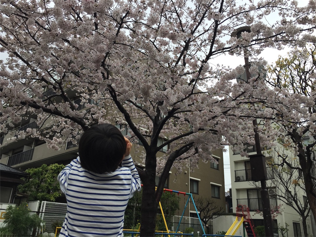 f:id:chie-71557504:20170413103800j:image f:id:chie-71557504:20170413103800j:image