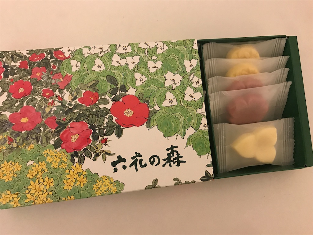 f:id:chie1129:20170513170835j:image