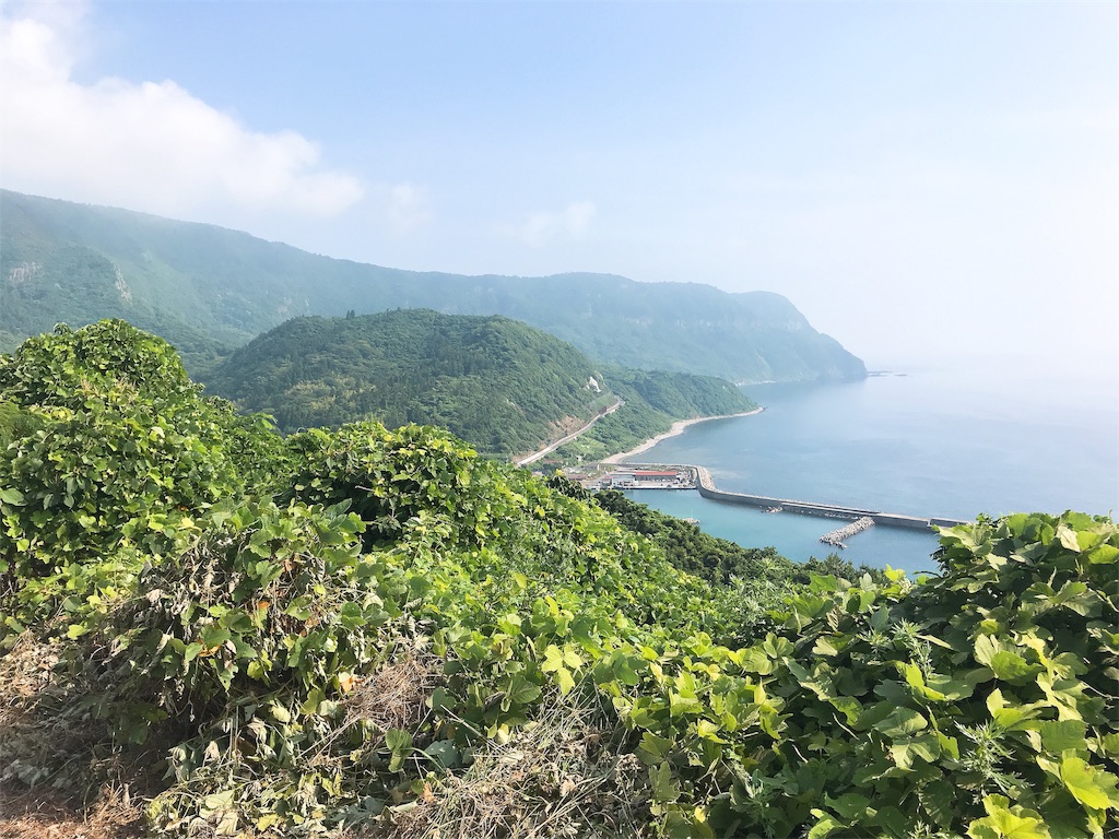 f:id:chie1129:20190705010006j:image