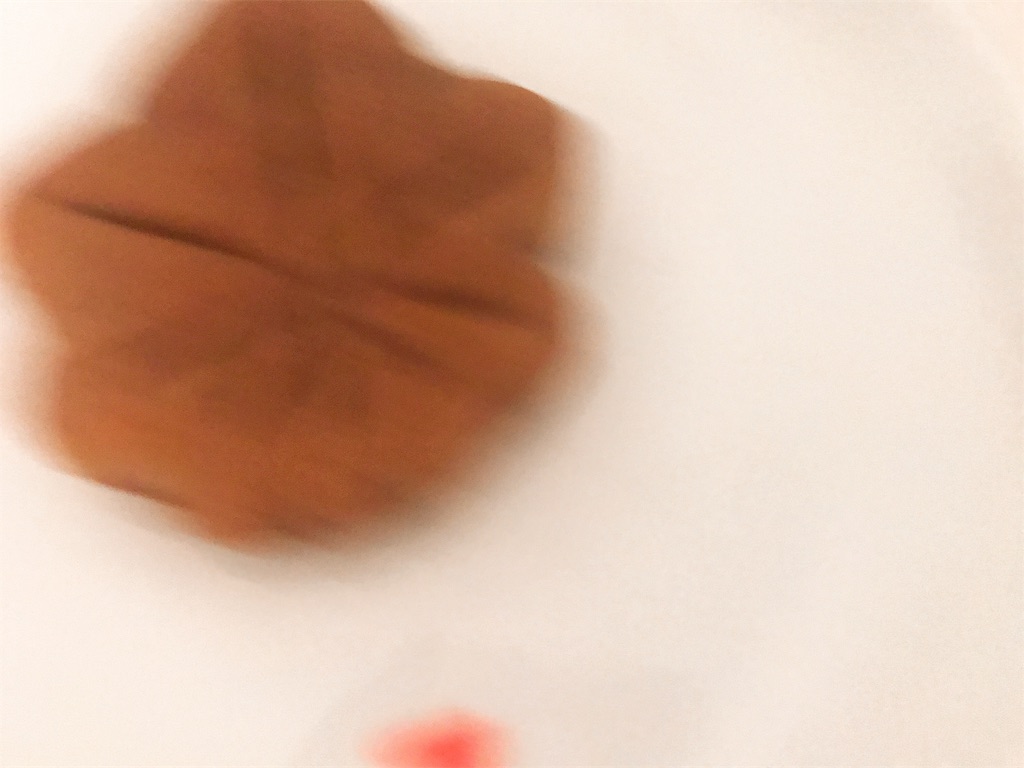 f:id:chie1129:20190730212631j:image