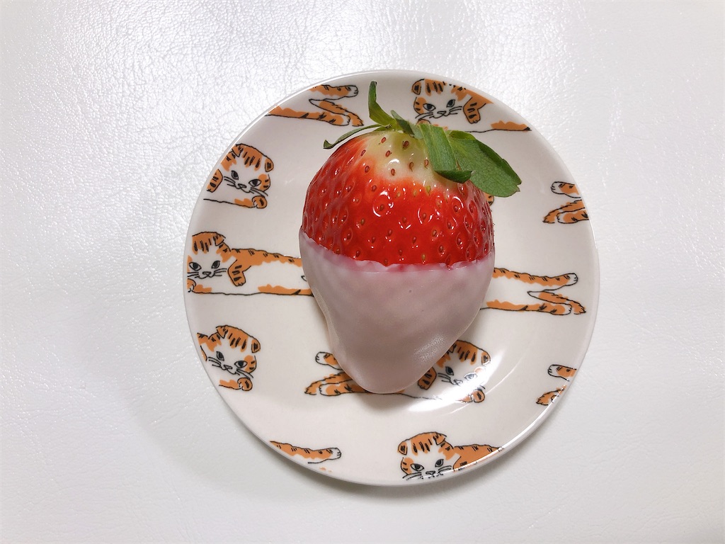 f:id:chie1129:20210227212455j:image
