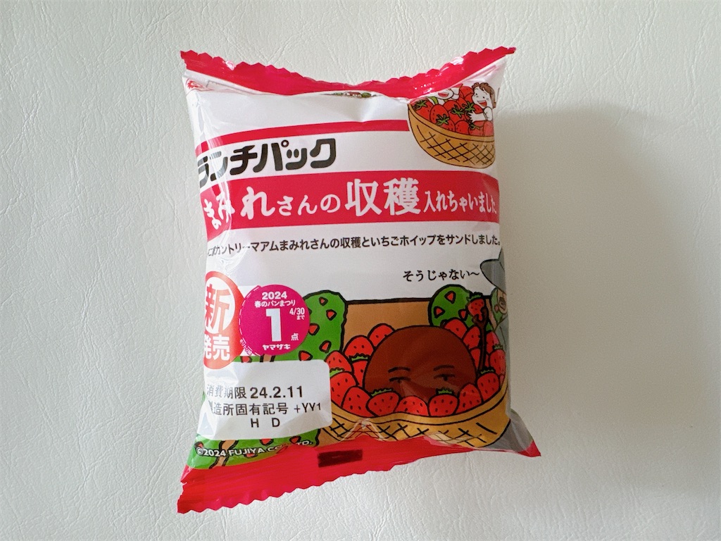 f:id:chie1129:20240210212922j:image