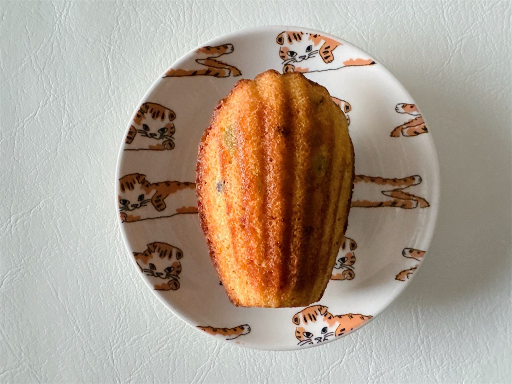 f:id:chie1129:20260124212916j:image