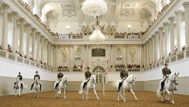 オペラ界のビッグスター、アンナ・ネトレプコのオンライン・ライブ