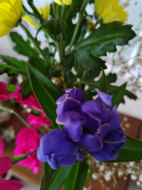 f:id:chie5060:20200712194318j:image
