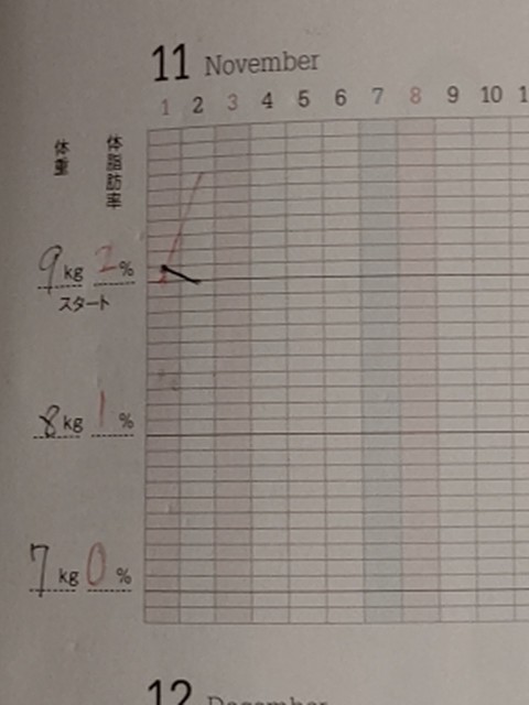 f:id:chie5060:20201102202537j:image