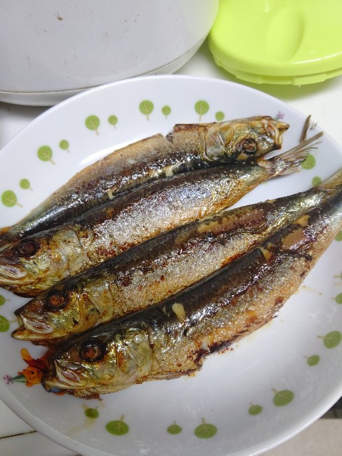 f:id:chie5060:20210203211233j:image