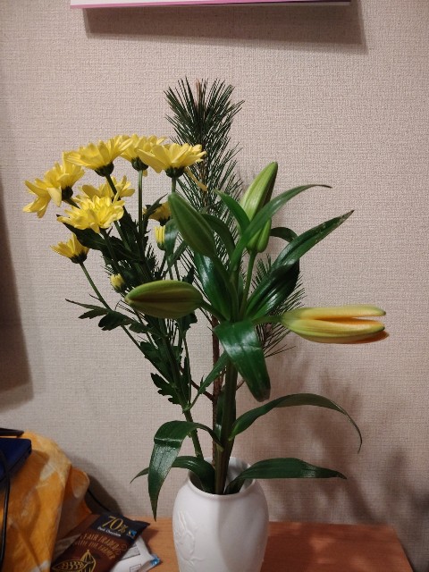 f:id:chie5060:20210325202755j:image
