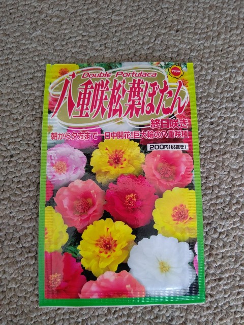 f:id:chie5060:20210530220214j:image