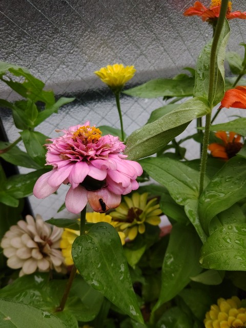 f:id:chie5060:20210807170928j:image