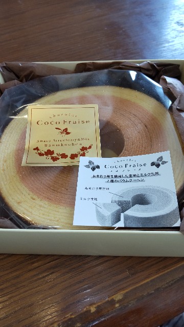 f:id:chie5060:20220319185402j:image