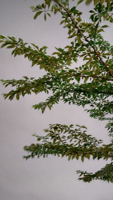 f:id:chie5060:20220530200912j:image f:id:chie5060:20220530200912j:image