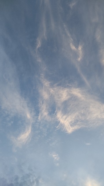 f:id:chie5060:20220709192357j:image