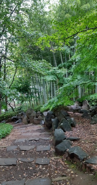 f:id:chie5060:20220921201236j:image f:id:chie5060:20220921201236j:image