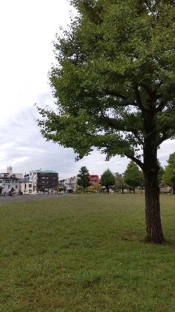 f:id:chie5060:20221014213724j:image f:id:chie5060:20221014213724j:image