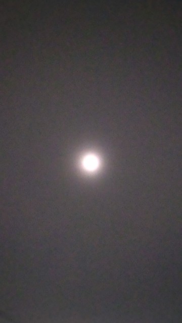 f:id:chie5060:20230206204908j:image f:id:chie5060:20230206204908j:image