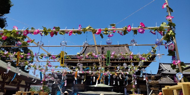 f:id:chie5060:20230723185222j:image