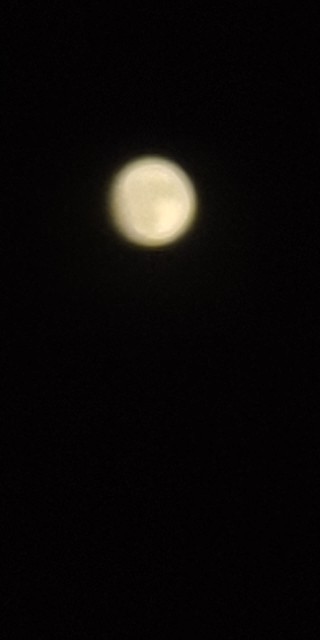 f:id:chie5060:20230830184921j:image f:id:chie5060:20230830184921j:image