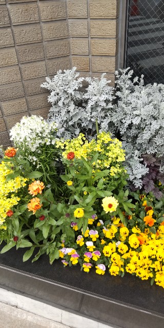 f:id:chie5060:20250306210014j:image f:id:chie5060:20250306210014j:image